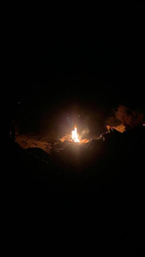 Camp star road safari